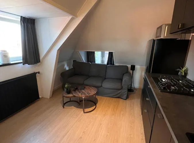 Wijkhuizen Penzion 4*