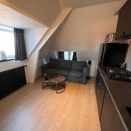 Wijkhuizen בית הארחה 4*