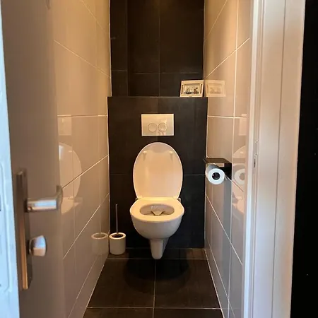 Wijkhuizen בית הארחה 4*